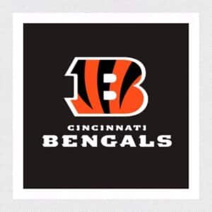 2023 Cincinnati Bengals Season Tickets (Includes Tickets To All Regular Season Home Games)