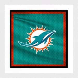 2023 Miami Dolphins Season (Includes To All Regular Season Home Games)