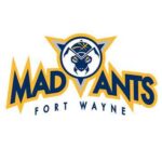 Long Island Nets vs. Fort Wayne Mad Ants