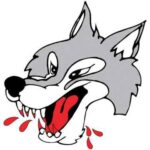 Brantford Bulldogs vs. Sudbury Wolves