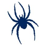 St. Louis Billikens vs. Richmond Spiders